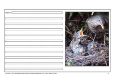 Amsel-eigene-Texte-4.pdf